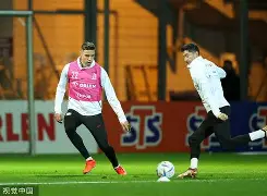 开云- 莱万什么水平 